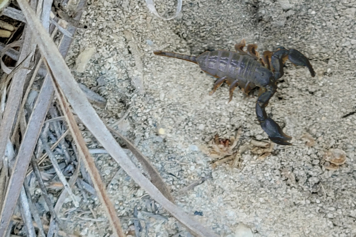 Madagaskar (361).jpg